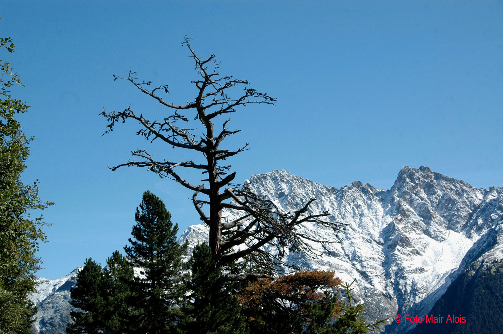 schnee im august.jpg
